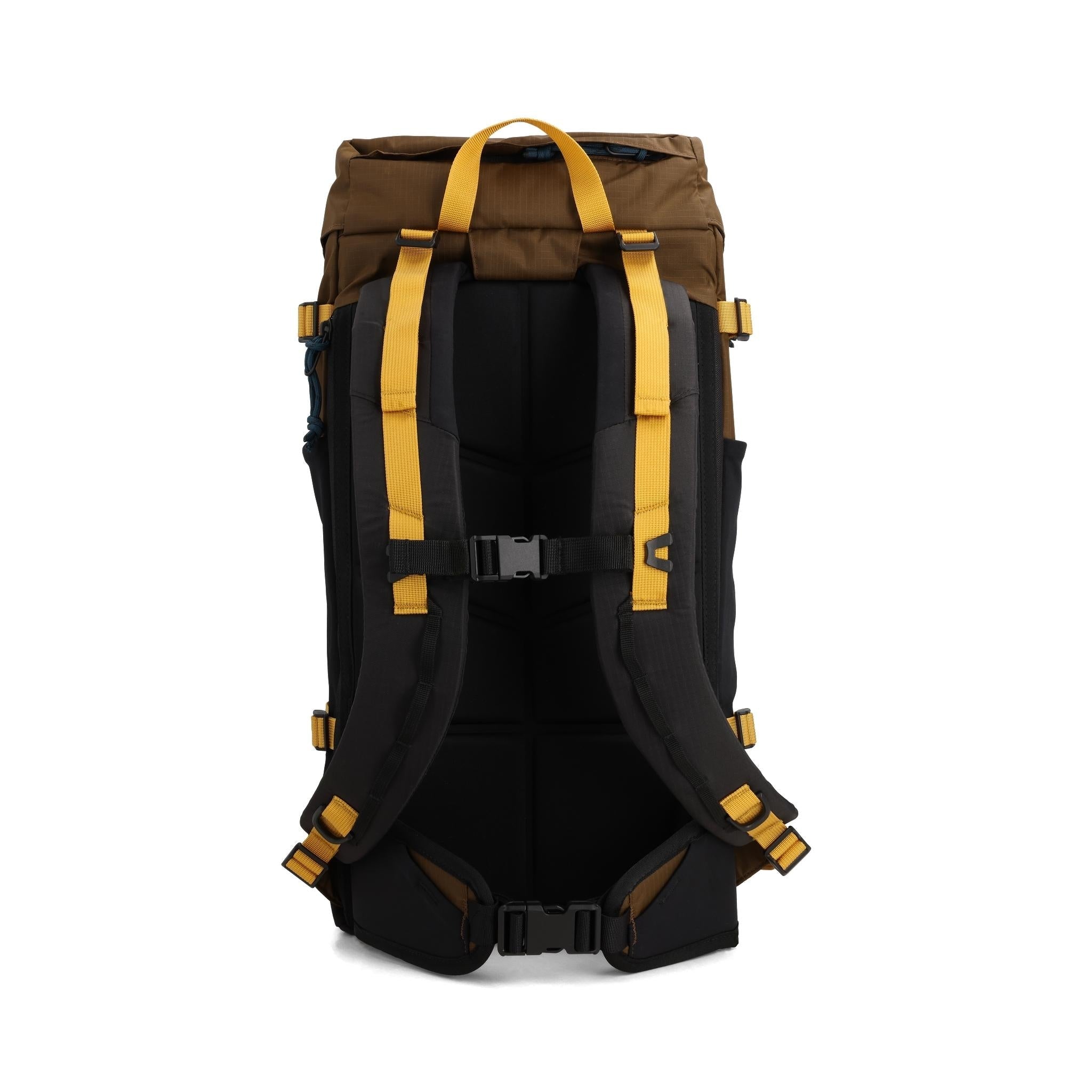 Back View of Topo Designs Rover Trail Pack 22L in "Desert Palm / Sahara"